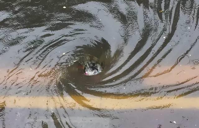 马路积水的漩涡图片