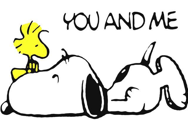 19.比格犬(beagle)