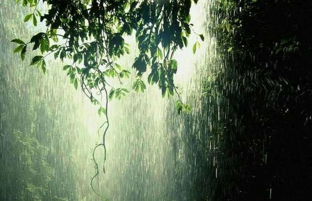 有情的雨,无情的你!