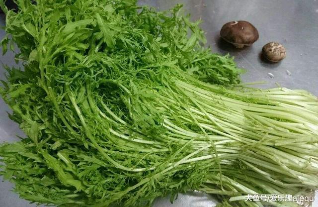 爹妈都是矮个子, 孩子却是班里顶梁柱, 原来是因为经常吃这些|芥菜