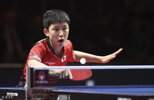 张本叫嚣击败中国夺冠被樊振东打服首次承认不在一个档次上