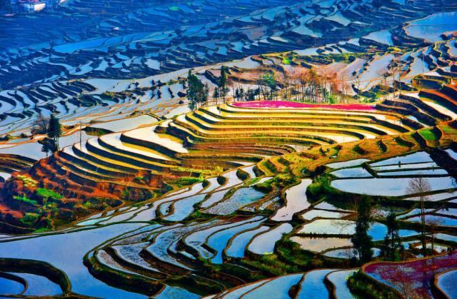 元阳梯田, 邂逅在最好的春光里|元阳梯田|曲线|田垄_新浪新闻