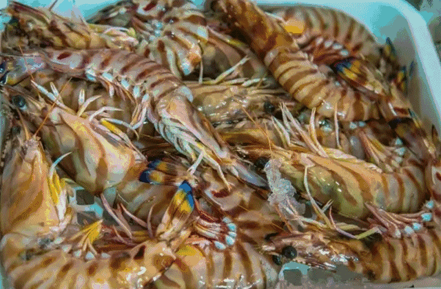 对了,远方来的您一定要试试连江的海鲜,鲜甜可口这些话都只是连江海鲜