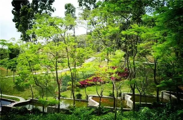 广州马洞森林公园图片