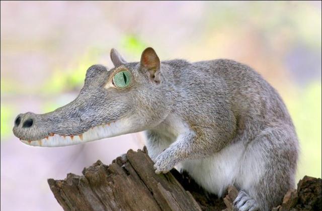 让人难以置信的动物杂交幻想图