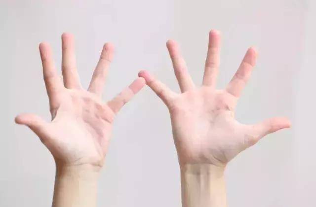 带宝宝学儿歌手指操,认识数字4和5