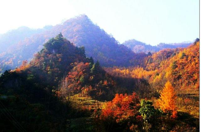 美丽山村,甘肃省陇南市成县黄渚镇张庄的秋