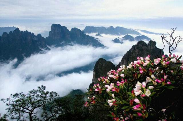 广西金秀圣堂山自驾游记:杜鹃花开时,人间仙境宛在云中央!|圣堂山|金秀|广西_新浪新闻