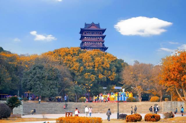 这有一份"九景衢"元旦旅游出行攻略,请拿好!