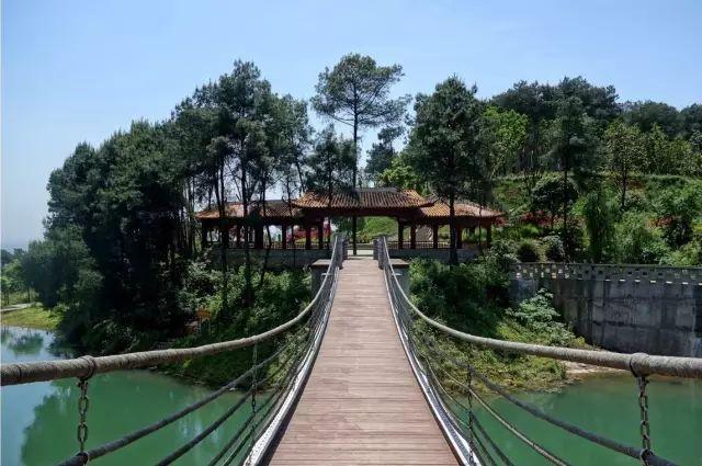 森林公园|重庆|圣灯山_新浪新闻