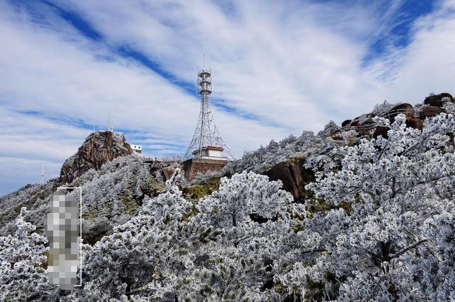 冬天里还有比胖着下雪更开心的事么?