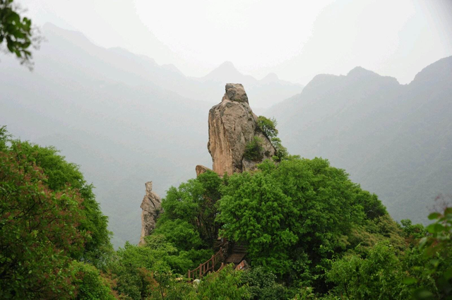 天华山自然保护区