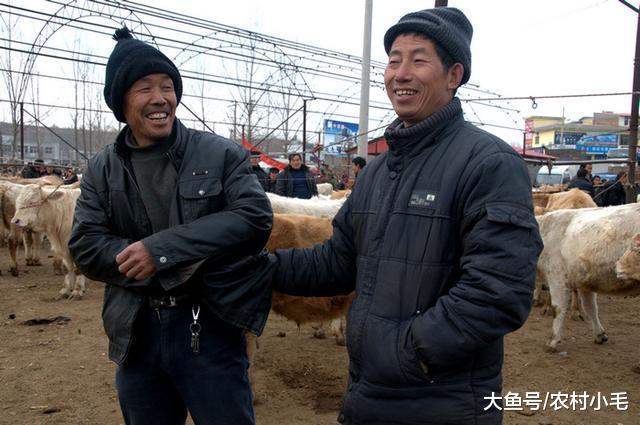 什么意思|牲口|农村|青草_新浪新闻