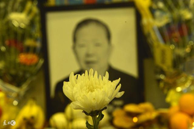 保姆去世,老人替她亡儿还款,直到车站碰见他,才知自己被骗两年