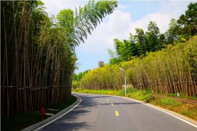禅林路全长3.
