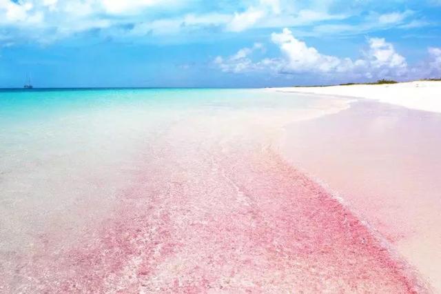来看!少女心炸裂,这些粉色沙滩你见过吗!