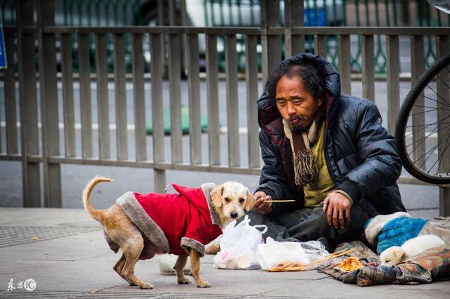 流浪汉收养了一只流浪狗,没想到因此赚了100万