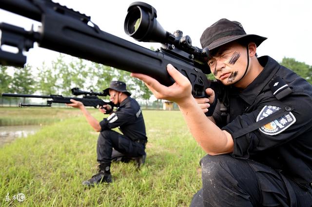 特警和特勤、辅警、协警的区别是什么?