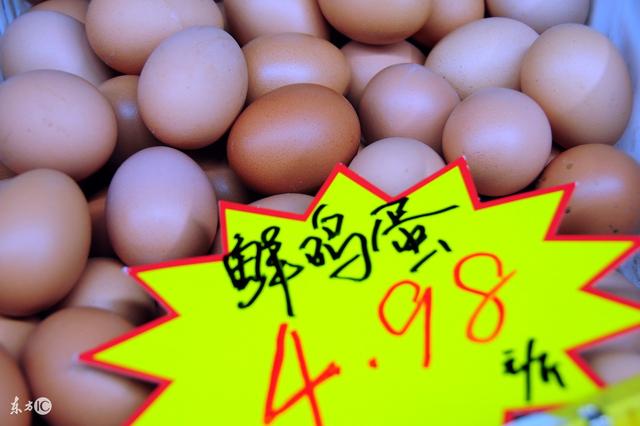中小规模蛋鸡养殖企业应该如何做品牌的推广?