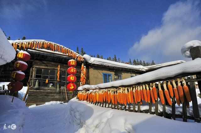 去东北不可错过的10大特色美食,不吃等于白来