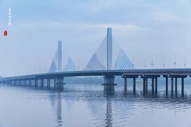厦门新阳大桥图片