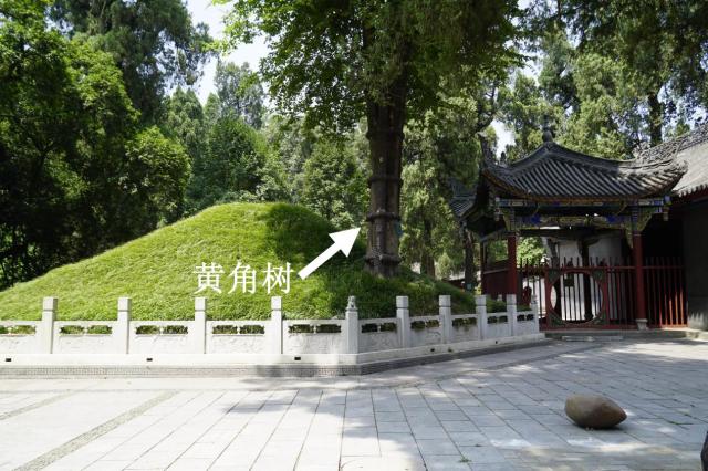 定军山既是武侯葬地,又是老将黄忠刀劈曹军大将夏侯渊的地方.