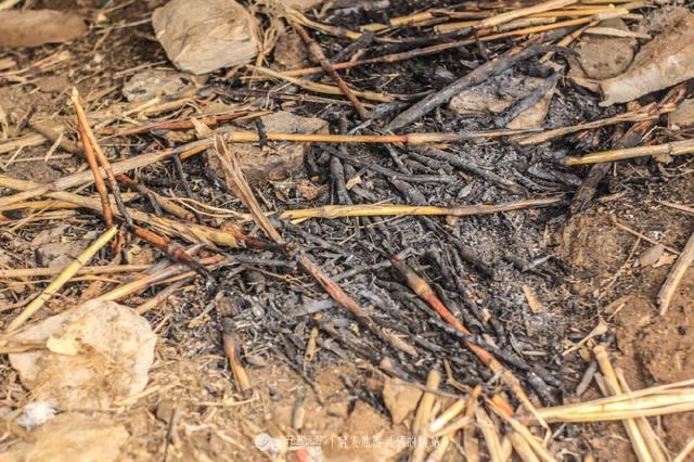 冰雪过后,上山拜祭三国古墓,却发现有人夜里来过,留下一个盗洞