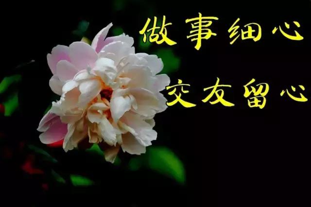 友情,是一世难求的缘分,朋友节到了,为朋友们送上暖暖问候