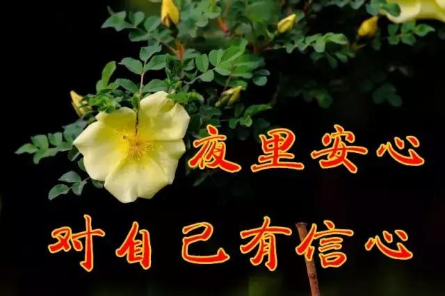 温馨浪漫友情地久天长真诚的祝福朋友节到了友情,是一世难求的缘分