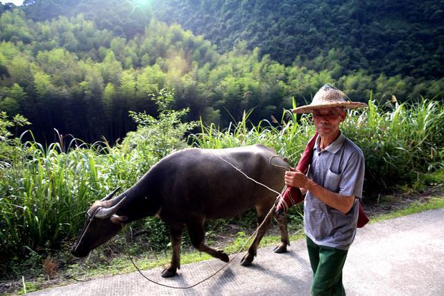 旅行风景:七旬老人,可以看看这篇文章