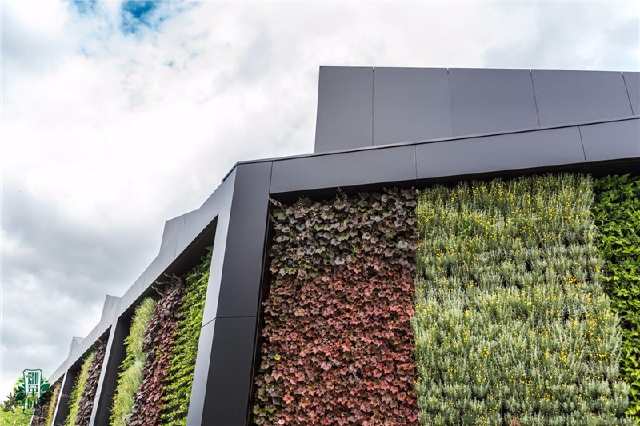 矾根植物墙,或许是今年室外植物墙的主流趋势!