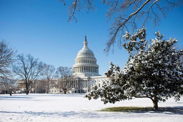 白雪|英国|柏林_新浪新闻