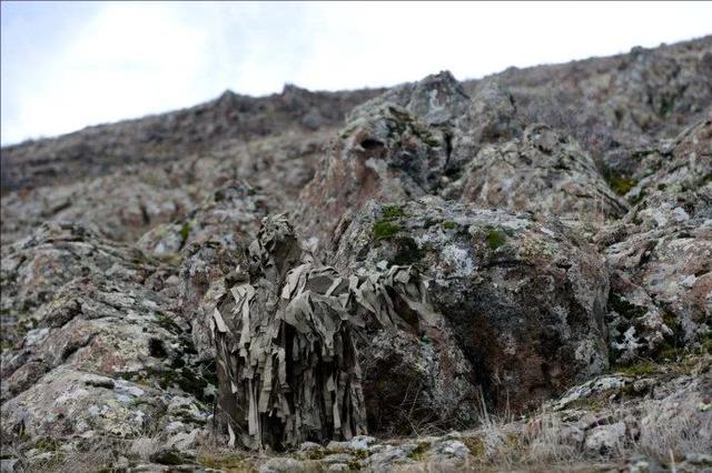 狙击手将伪装发挥到极致能在一分钟内找出来就算你厉害