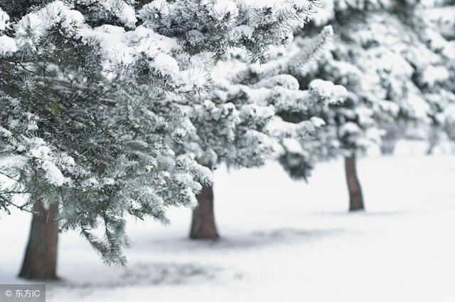透着岁月静好的诗句, 让你心境平和