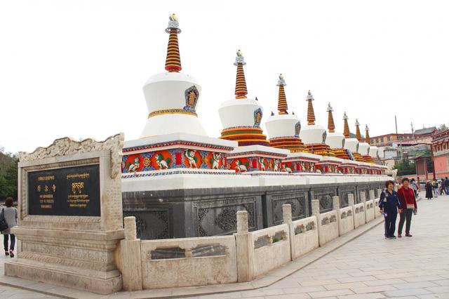 塔尔寺里一棵白旃檀树的神奇故事,大西北之旅走进藏传佛教圣地