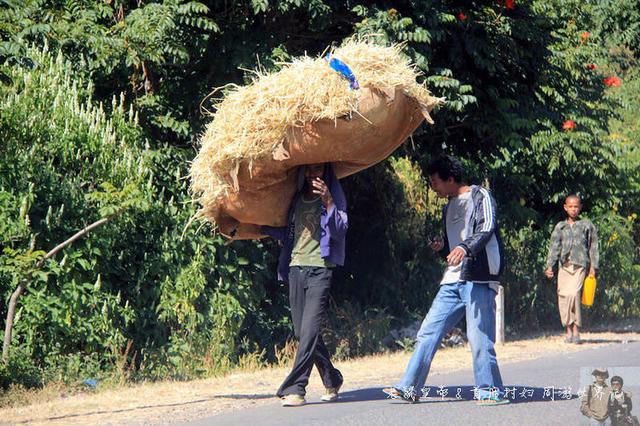 男女老少集体光脚,顶鸡扛麻袋赶驴,这些埃塞人居然要去做这件事