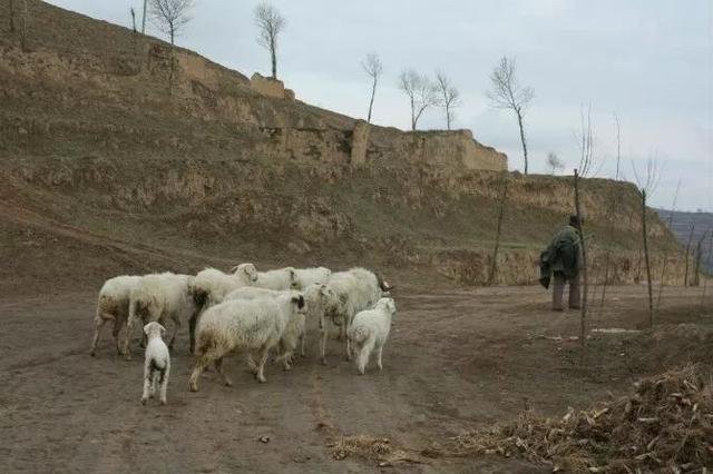 平凉农村老照片,越看越亲切!