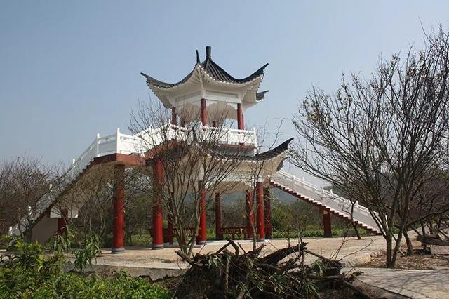 赣县湖江镇桃花岛桃花还未开花!小伙伴们不要跑空哦