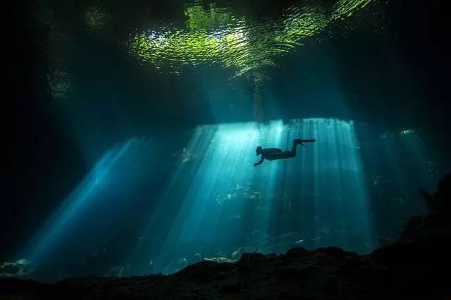 头顶的绿光或许来自于水面上的森林或许是海面的绿藻,总之,这几乎不能