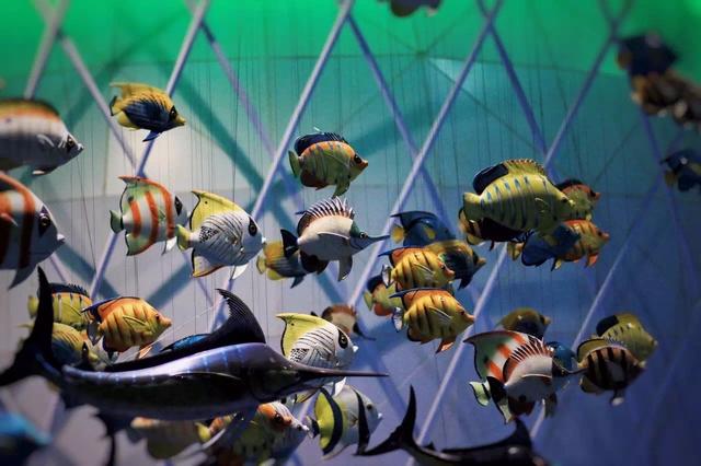 全球最大全景互动海洋馆,万达海洋乐园