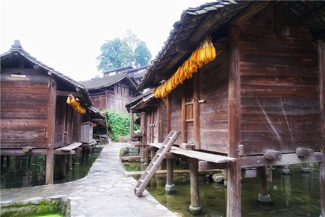 风情雷山,没做完这十件事怎么算真正来过?