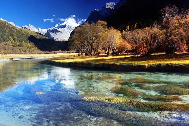 亚丁风景区不仅有壮丽神圣的雪山,还有辽阔的草甸,五彩斑斓的森林和