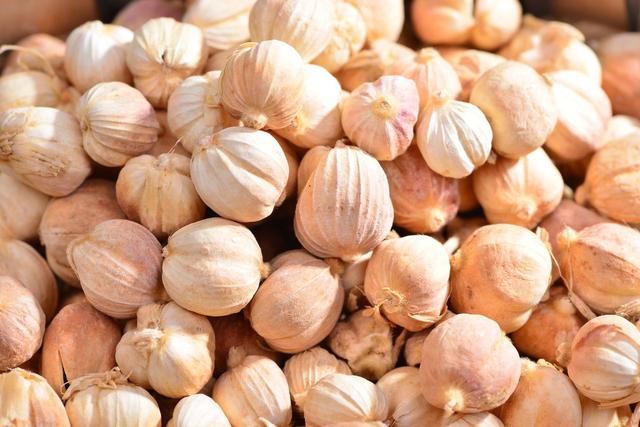 由反复发作急性鼻炎,慢性鼻窦炎的脓液刺激和肥大的增殖腺等引起.