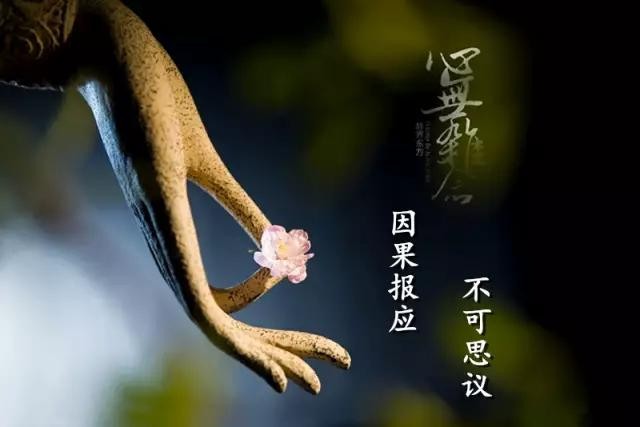 一切皆空无起心,当下不空活个求