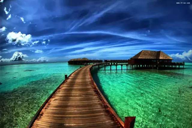 身穿比基尼潜泳的美女, 脑袋里都应该想些什么呢?