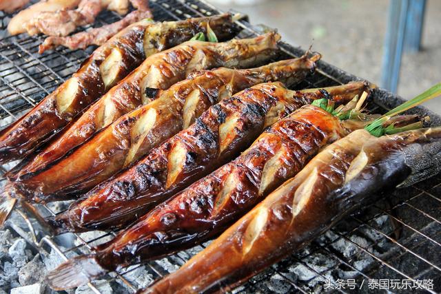 Image result for Pla Pao(æ³°å¼ç¤é±¼)