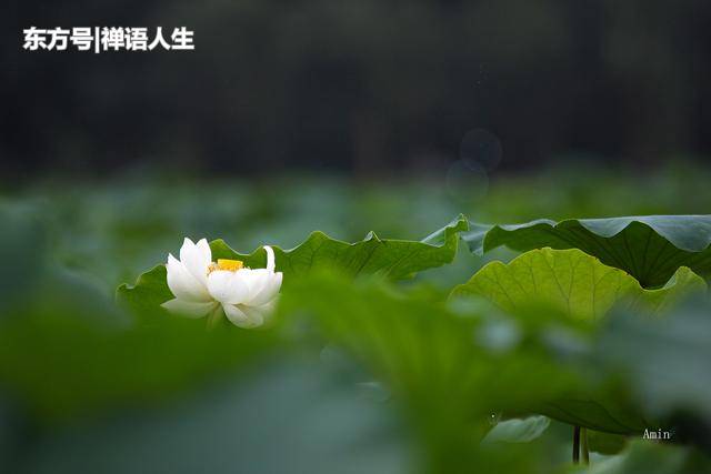 境界|人生|心灵_新浪网