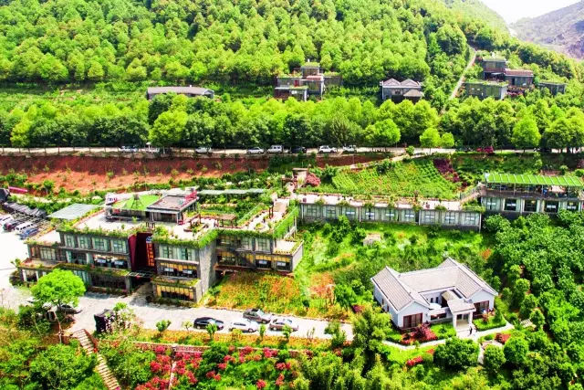 走近彭山景区| 从三千亩荒山到现在4a景区五星级休闲庄园