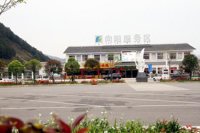 高速服务区到底能不能停车睡觉?这张罚单真够冤的!-新浪汽车