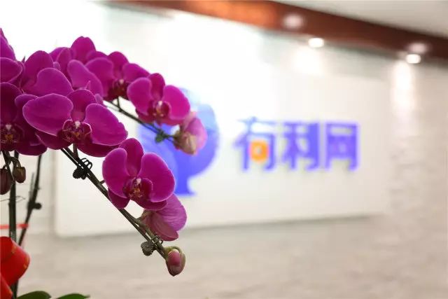 专访有利网创始人兼ceo吴逸然丨利他哲学成就互联网金融领军企业